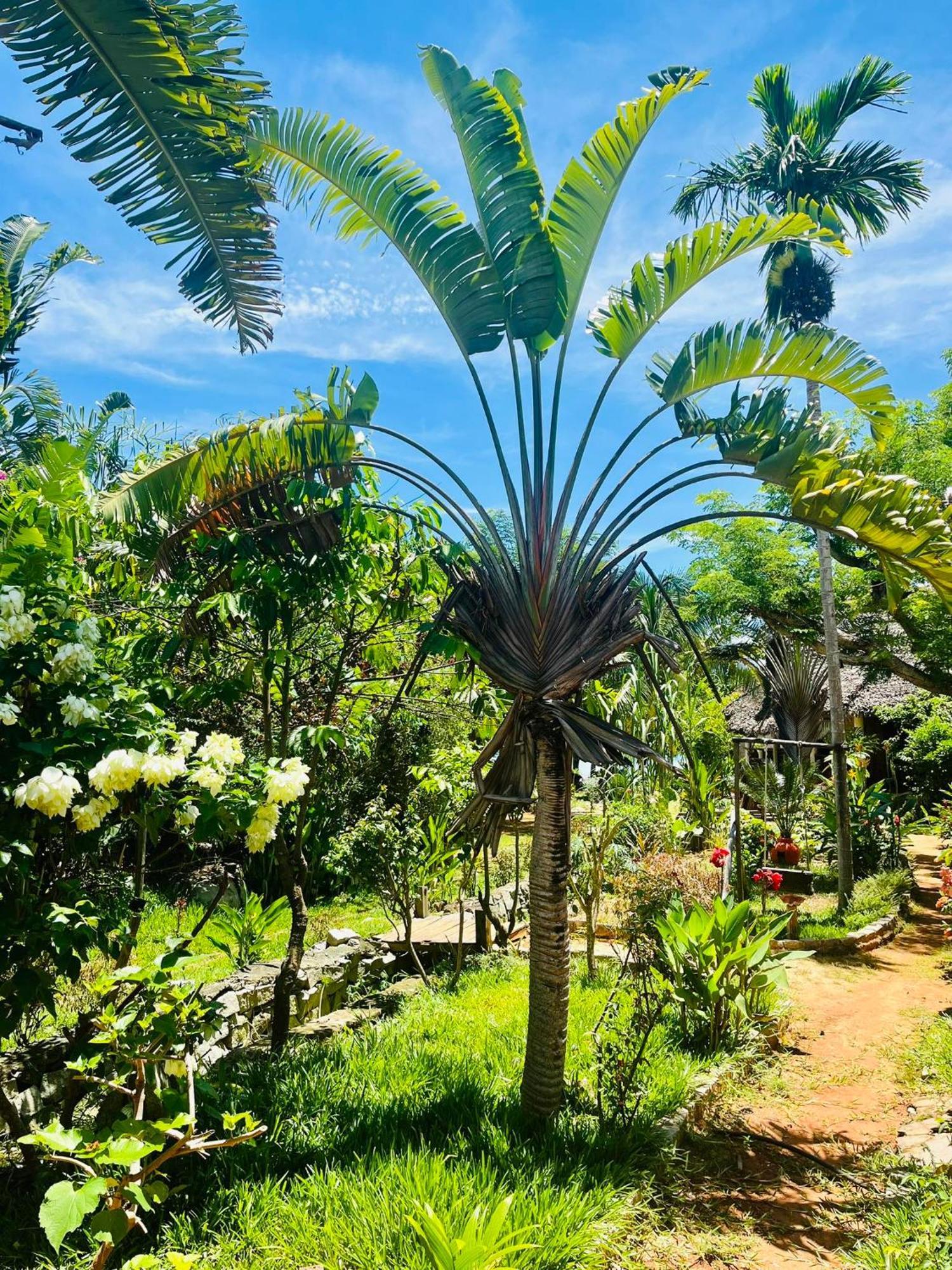 Tamarin Lodge Ampangorinana Εξωτερικό φωτογραφία