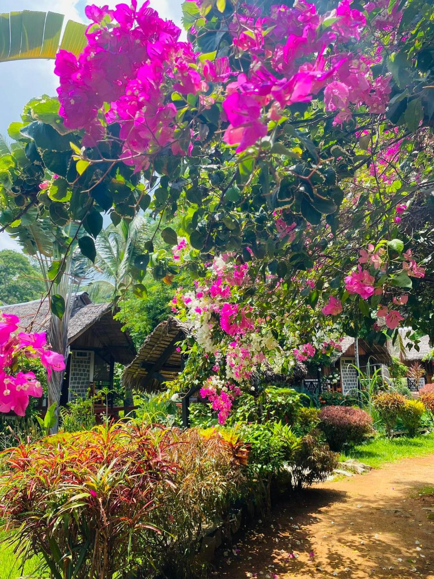 Tamarin Lodge Ampangorinana Εξωτερικό φωτογραφία